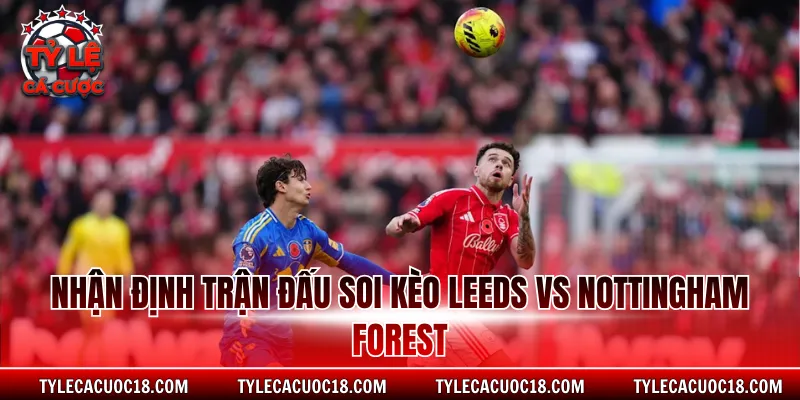 Nhận định trận đấu soi kèo Leeds vs Nottingham Forest