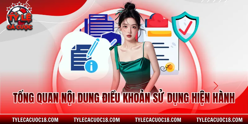 Tổng quan nội dung điều khoản sử dụng hiện hành